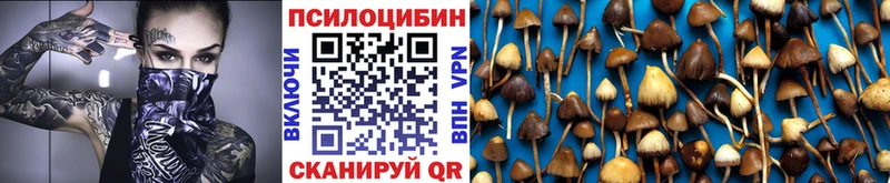 Псилоцибиновые грибы мухоморы  Усть-Лабинск 