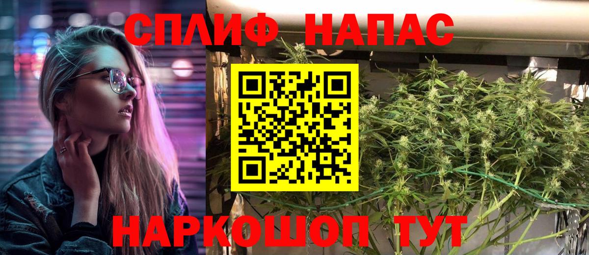Марихуана планчик  Бошки марихуана SATIVA & INDICA  Конопля план  Усть-Лабинск  МАРИХУАНА индика  Вход с VPN 